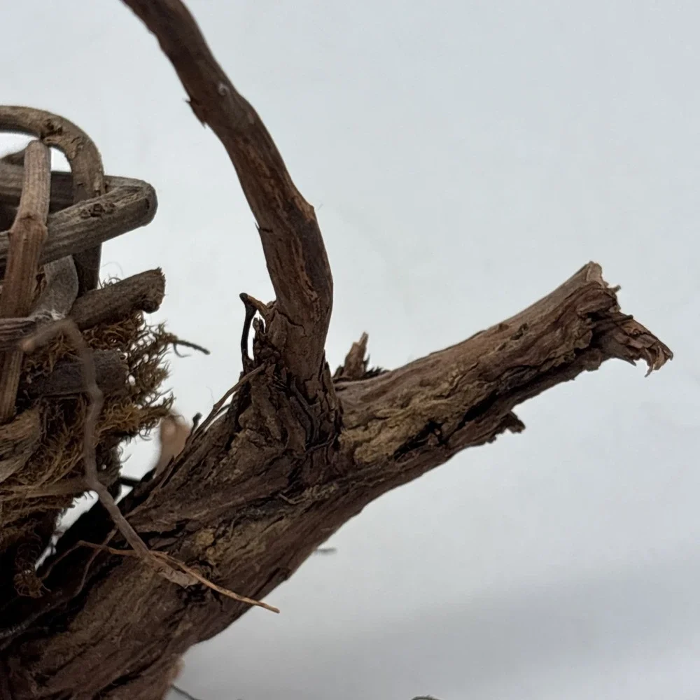 Bird nest  Garden decorations, home, floral accent, crafts, center piece